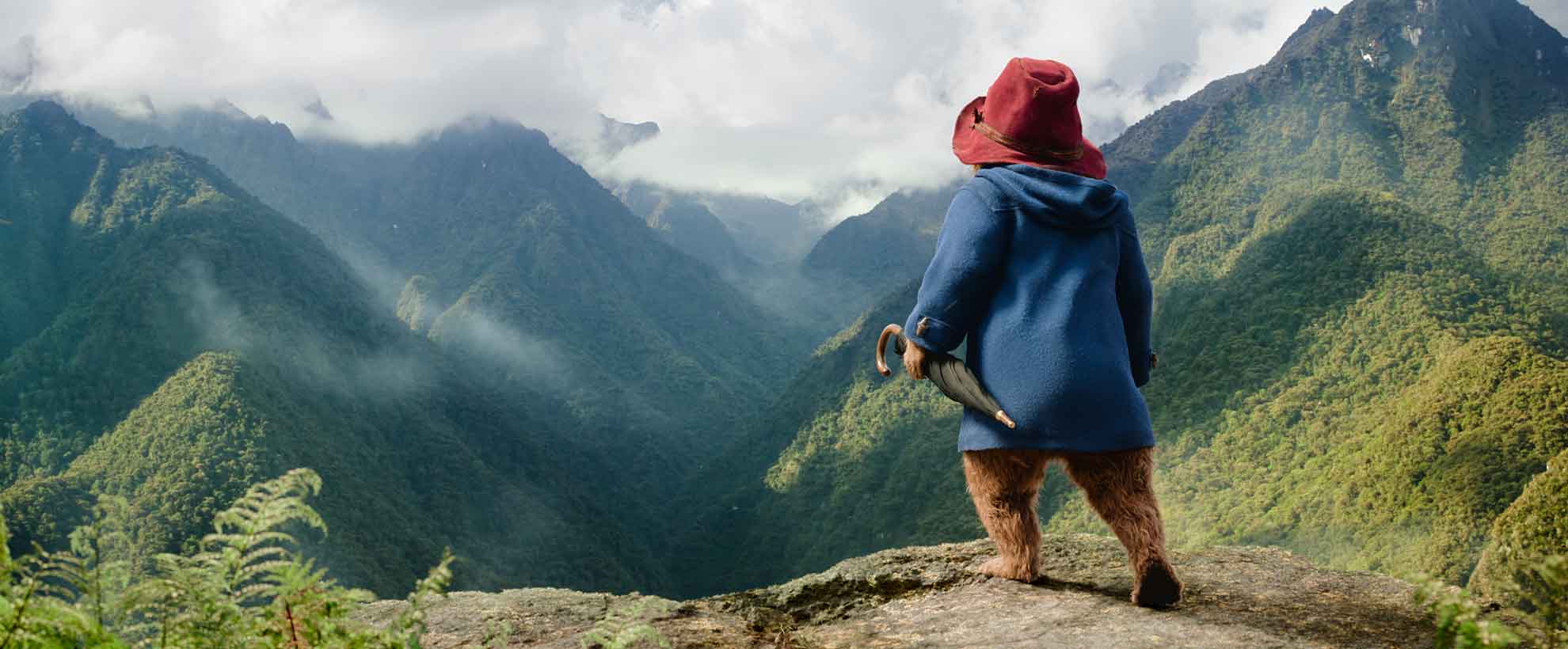 Paddington stands on the edge of a cliff looking out over the Peruvian jungle