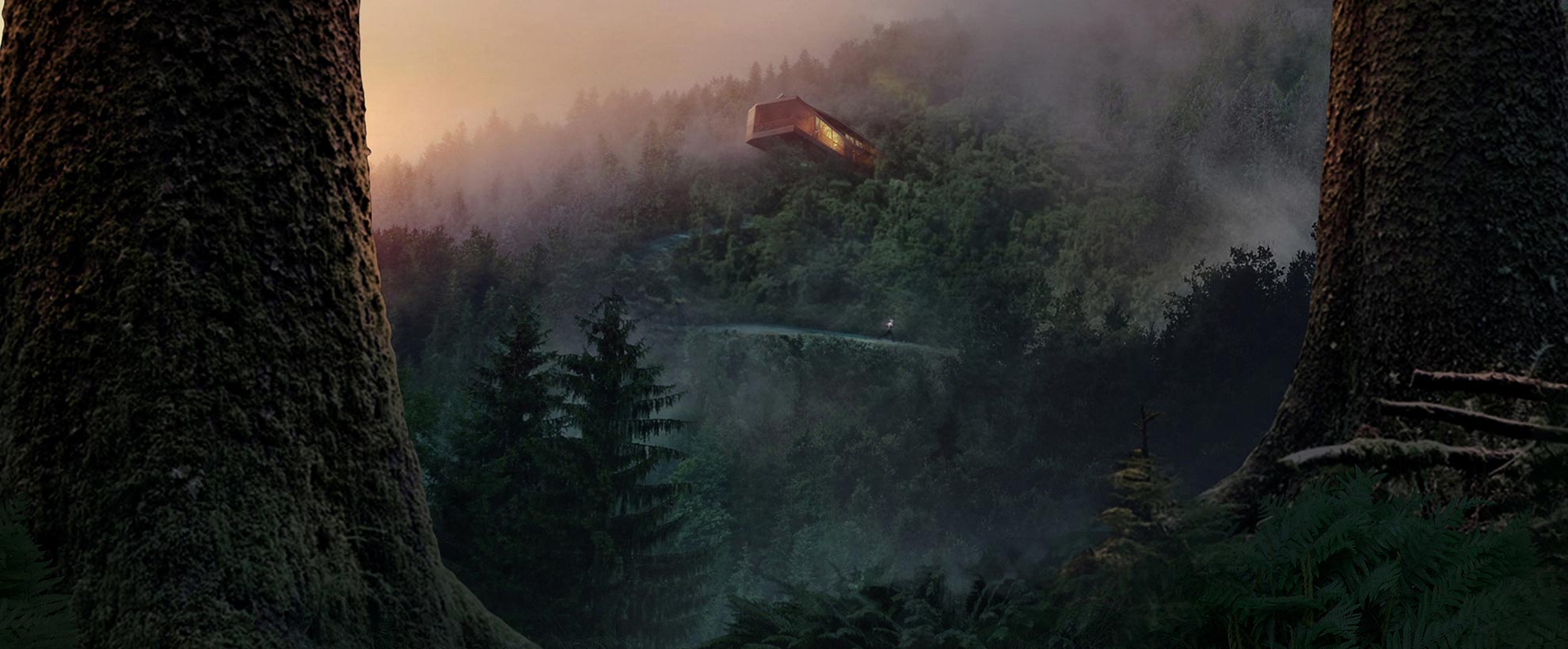 A modern rectangular house peeking out of a forested hillside in a sunset.