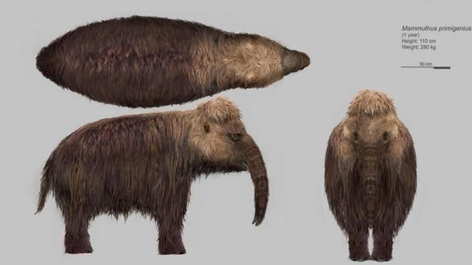 Prehistoric Planet: Ice Age Concept Art 