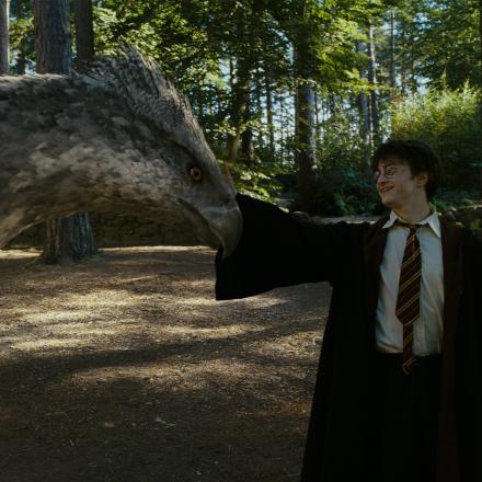 A boy is stroking the beak of a mythical creature with a birds head and horses body, they are in a warmly lit forest. 